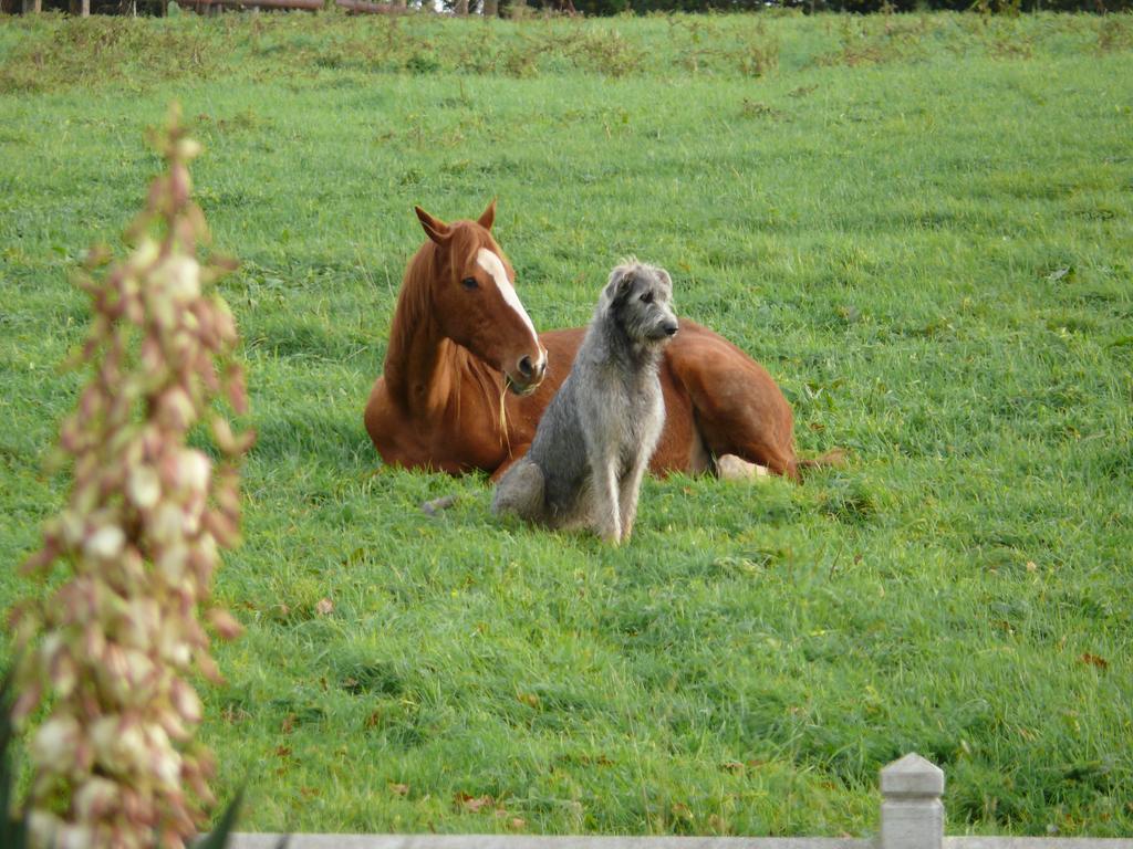 Gite De L'Etot Fossey Marchésieux Kültér fotó